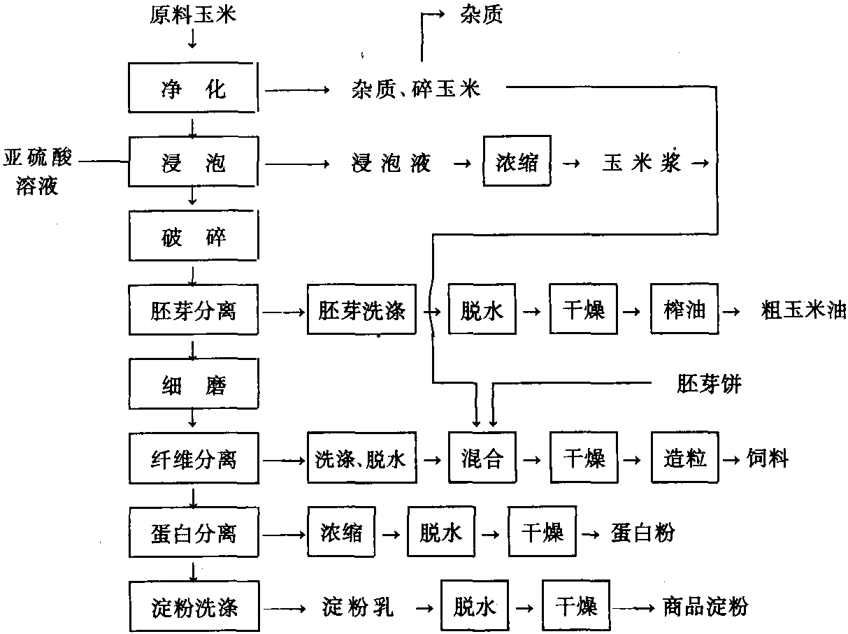 一、玉米淀粉的生產(chǎn)